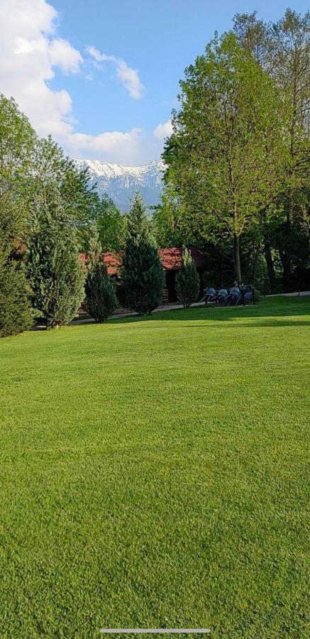 Garden Retreat (Adults Only) Hotel Bran  Buitenkant foto